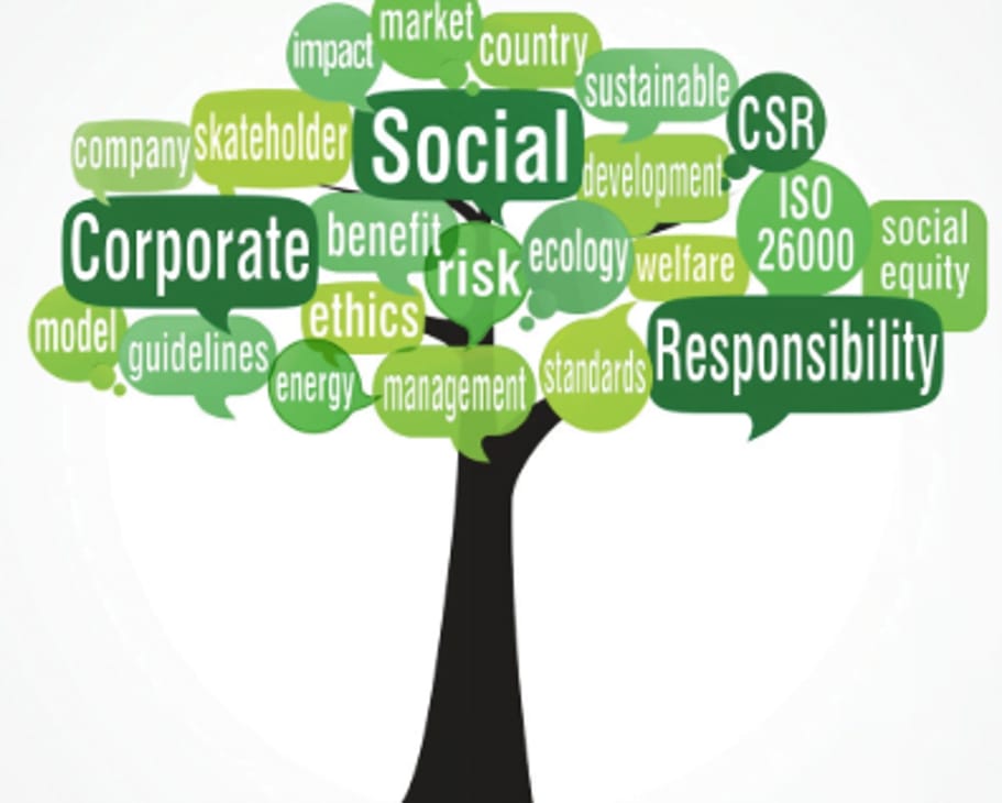 Corporate Social Responsibility an Opportunity or Quibble ALL about CSR