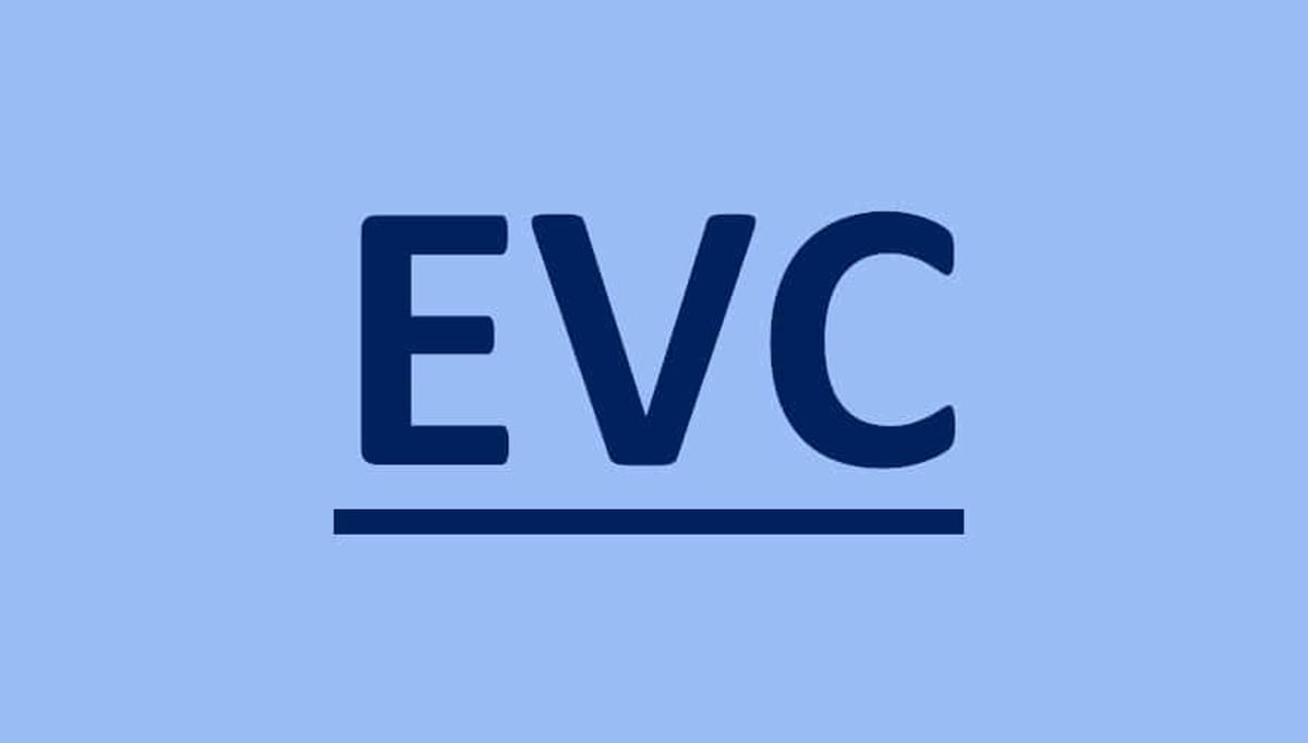 Companies can now file GSTR-3B through EVC mode