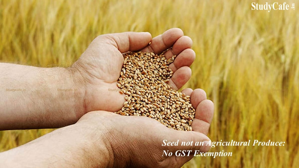 Seed not an Agricultural Produce: No GST Exemption Applicable on it’s Storage