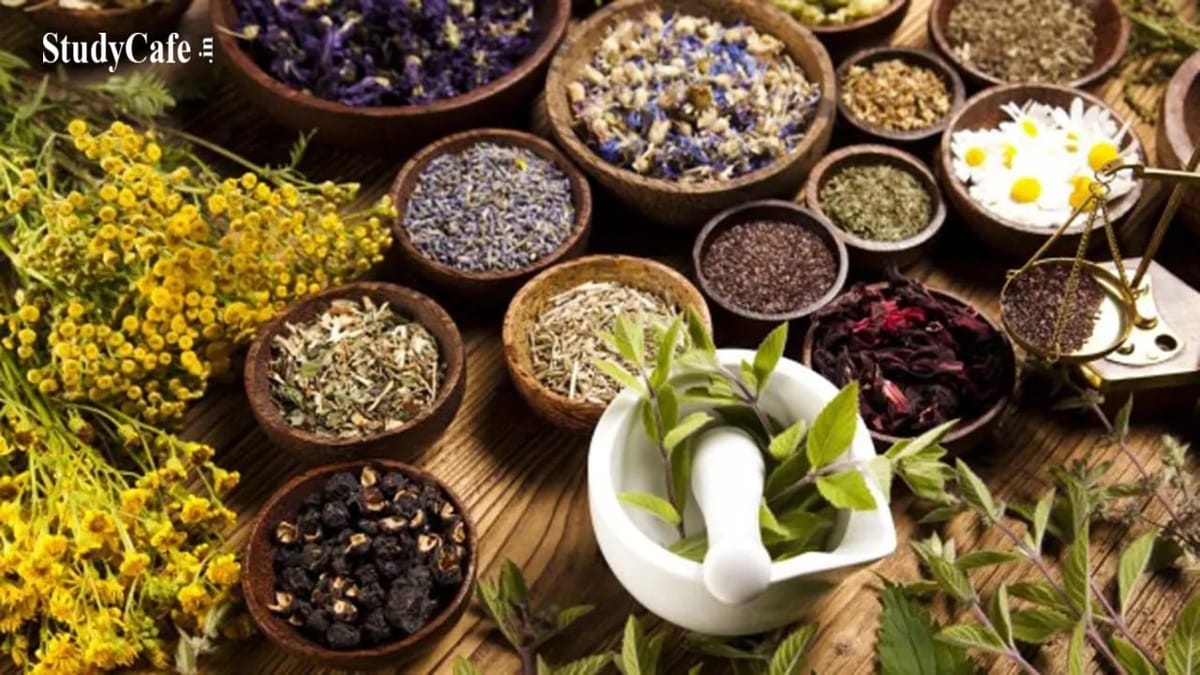 Cabinet Approves Establishment of WHO Global Centre for Traditional Medicine in India