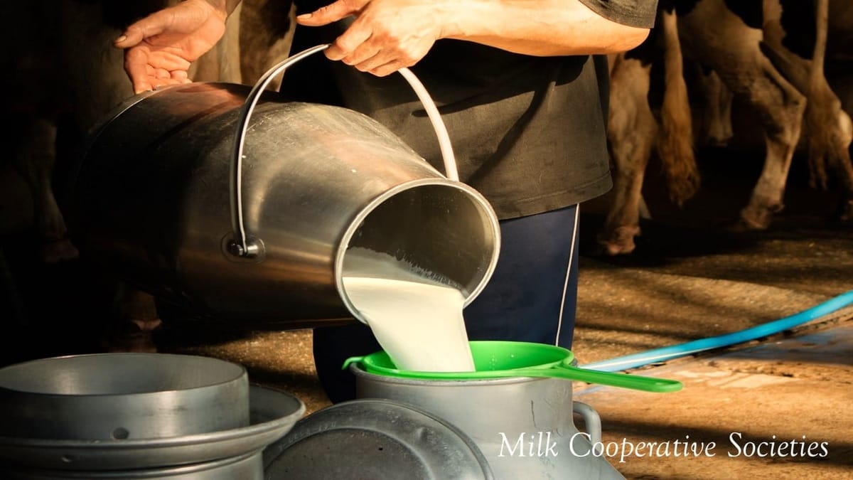 No service tax applicable on the services rendered by Milk Cooperative Societies to its milk unions