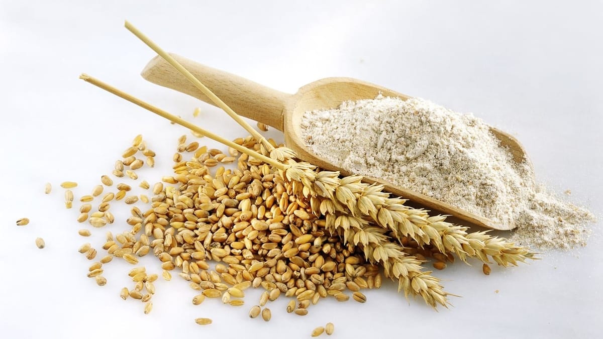 Cabinet approves Export Policy for Wheat or Meslin Flour