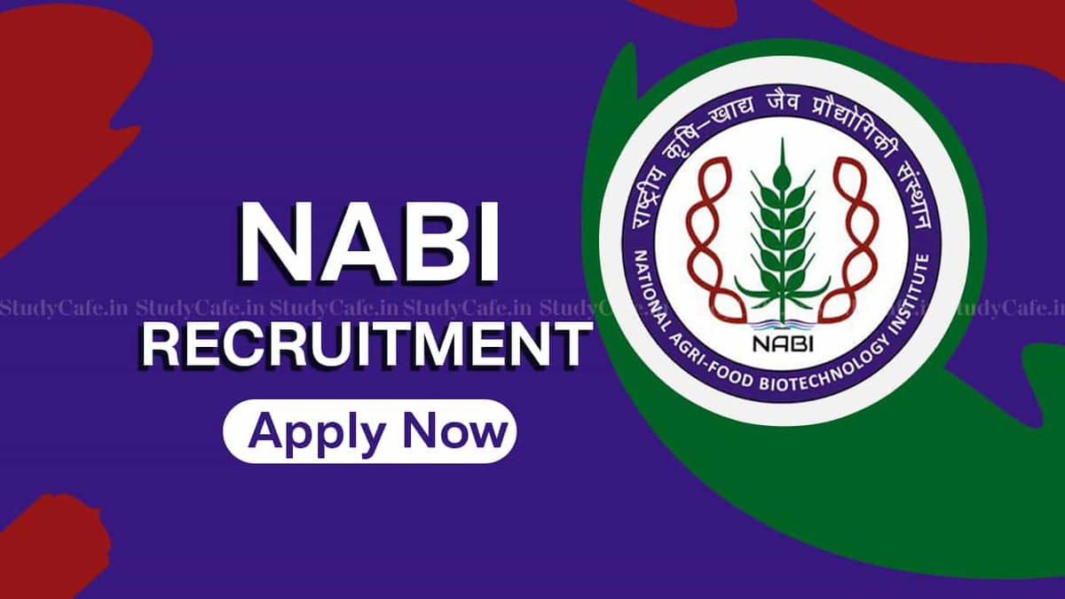 Nabi Recruitment 2022: Check Posts, Qualification and Other Details Here
