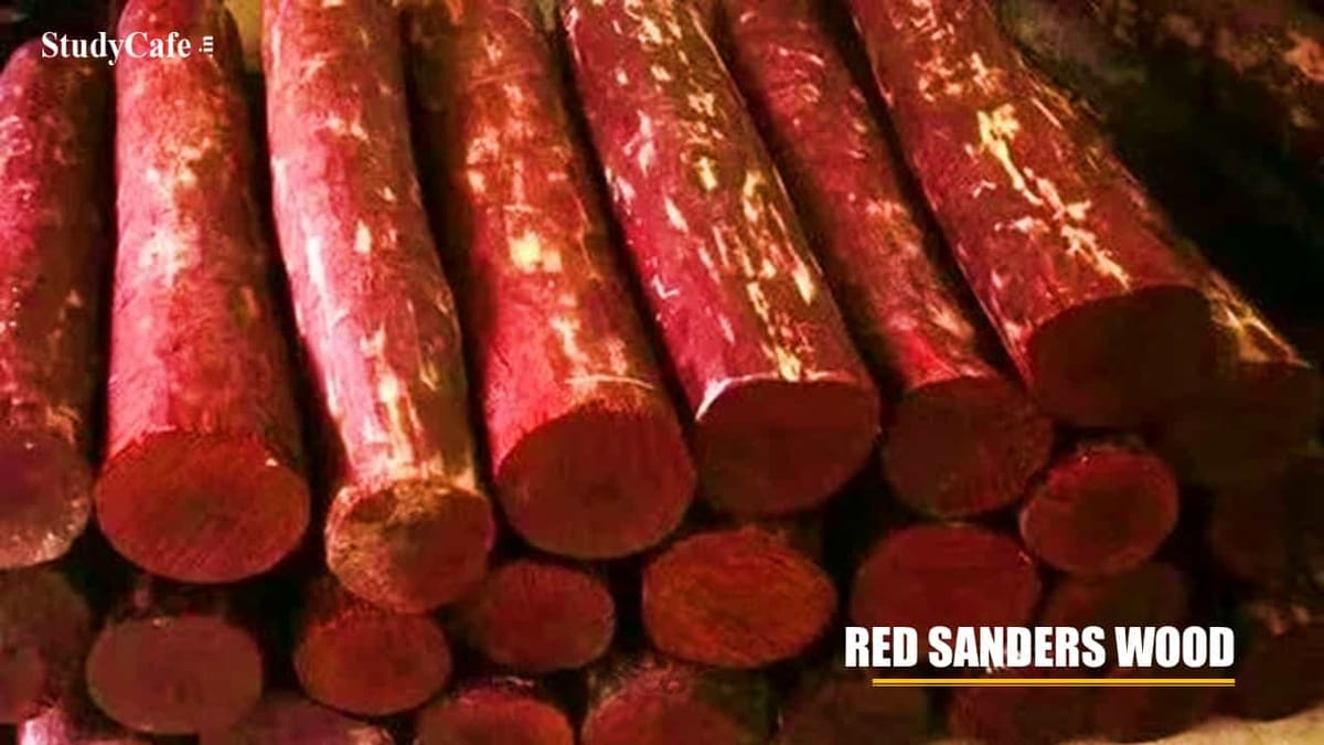 DGFT Extends Time Limit for Export of Red Sanders Wood by Forest Department