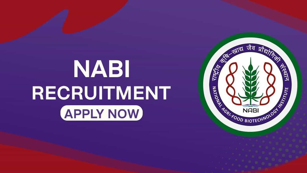 NABI Recruitment 2022: Check Post, Qualification and How to Apply till Dec 8