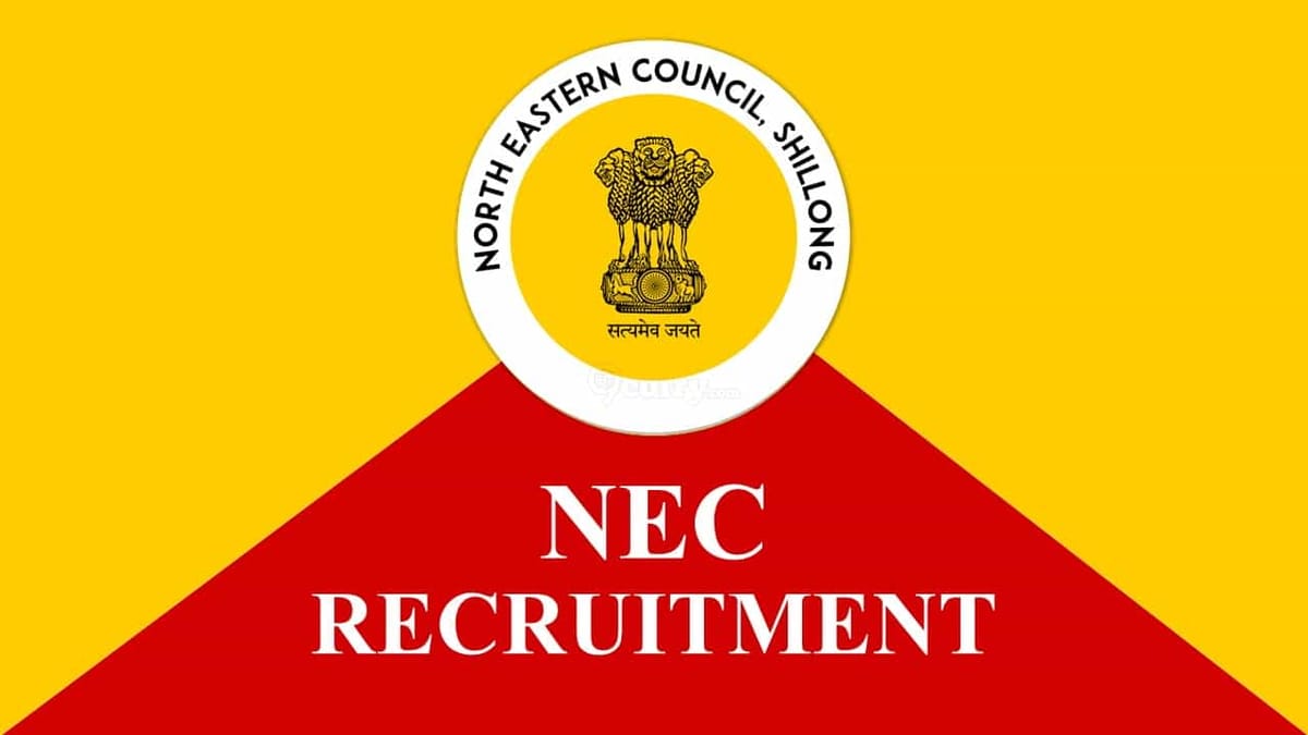 NEC Recruitment 2022 for Consultant: Check Eligibility, Remuneration and How to Apply