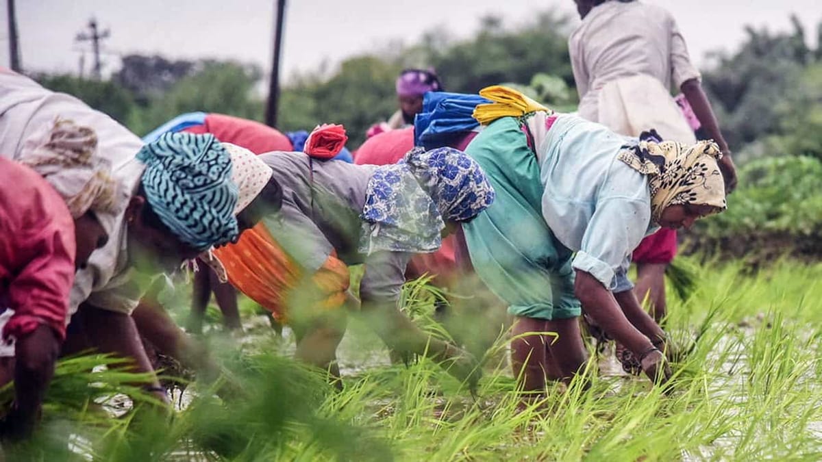 BUDGET 2023: Government likely to increase Farmers Payout to Rs. 8000 under PM-KISAN