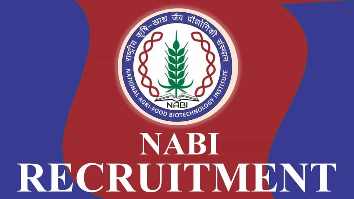 NABI Recruitment 2023: Pay Level 13, Check Post, Eligibility and How to Apply