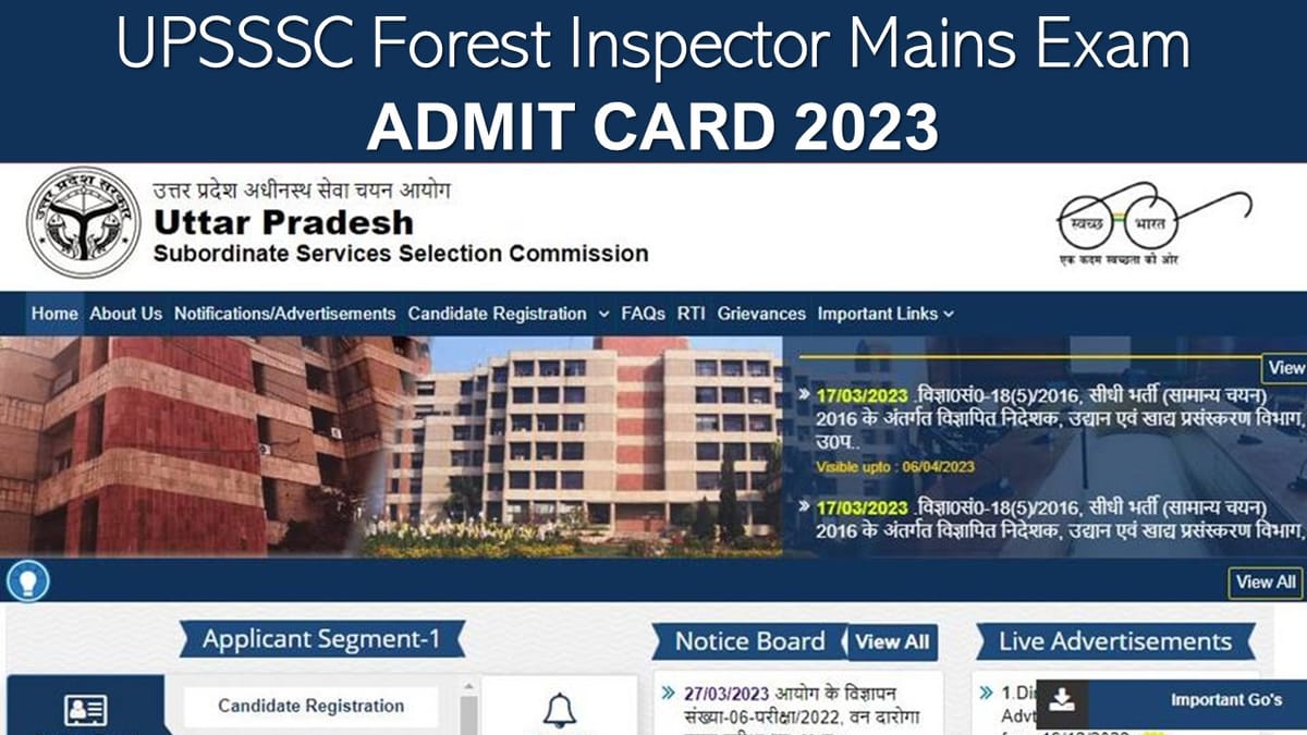 UPSSSC Forest Guard: Admit Card Out for Van Daroga Mains Examination, Check How to Download