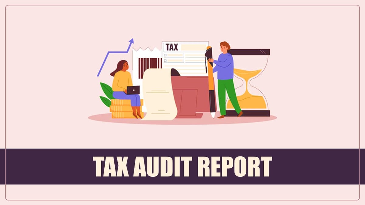 Common Mistakes Found in Tax Audit Report