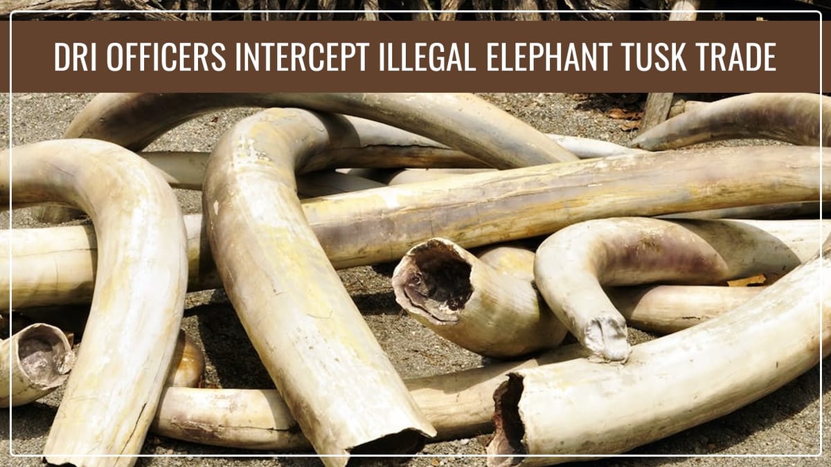 DRI Officers intercept Illegal Elephant Tusk Trade in Bengaluru; 7 accused arrested