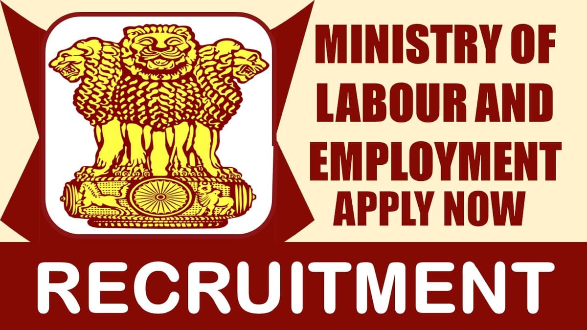 Ministry of Labour and Employment Recruitment 2024: Check Post, Qualification, Age, Salary and Process to Apply