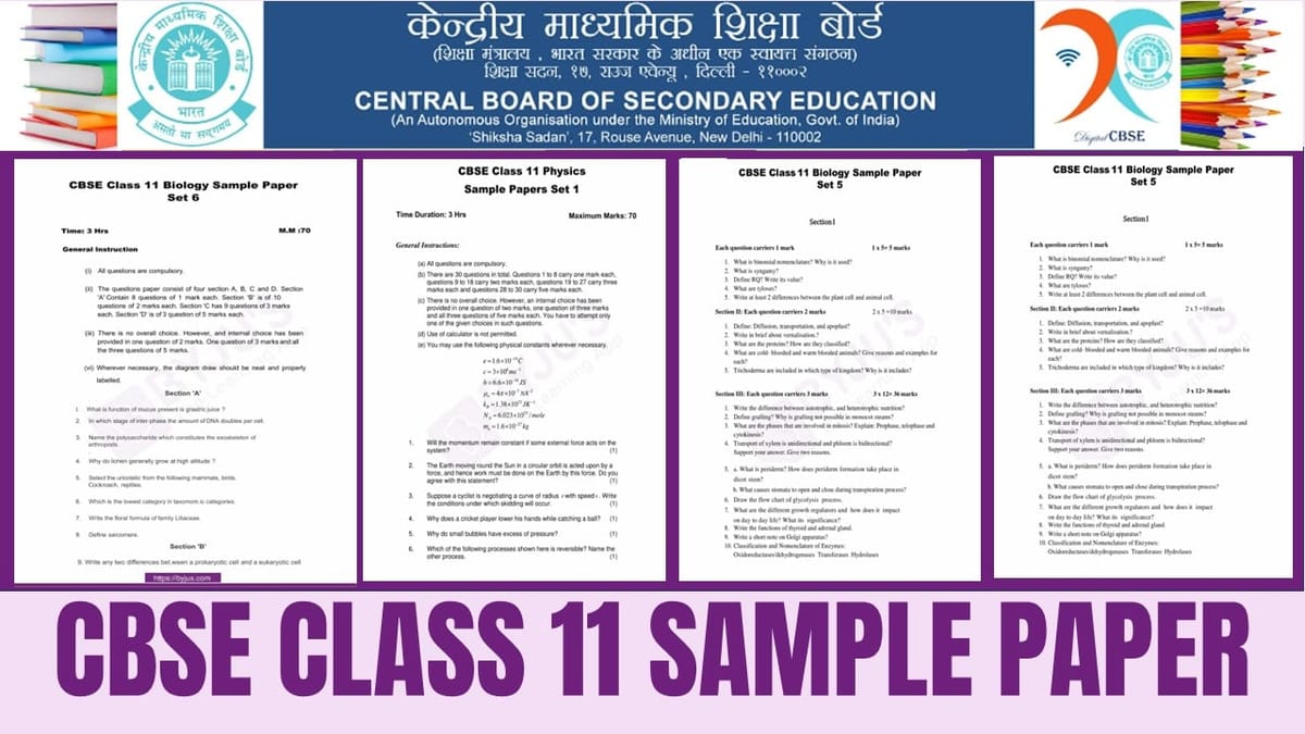 CBSE Class 11 Sample Paper 2024-25: Sample Papers for CBSE Class 11th All Subjects