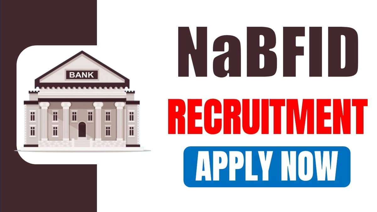 National Bank for Financing Infrastructure and Development Recruitment 2024: Check Out Post Details Apply Now