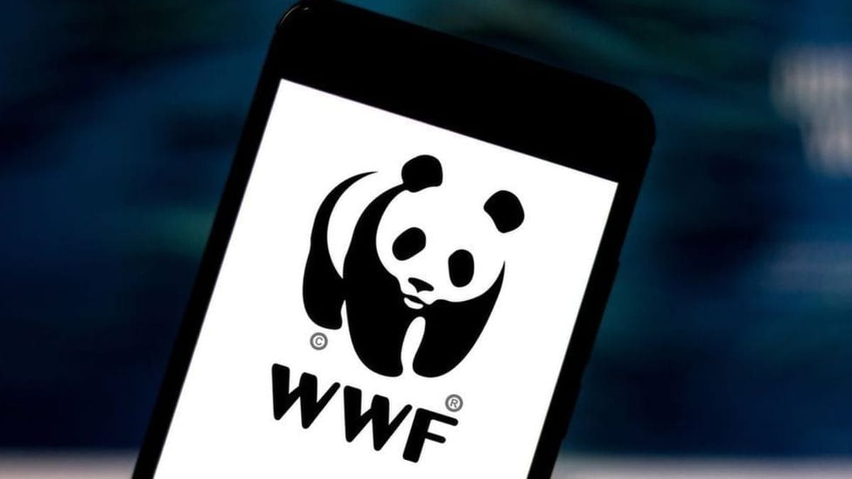 M.Com, MBA, CA Vacancy at WWF