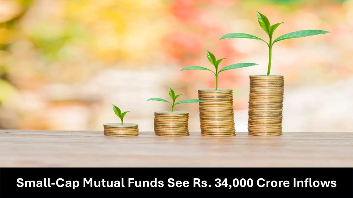 Small-Cap Mutual Funds See Rs. 34,000 Crore Inflows in 2024