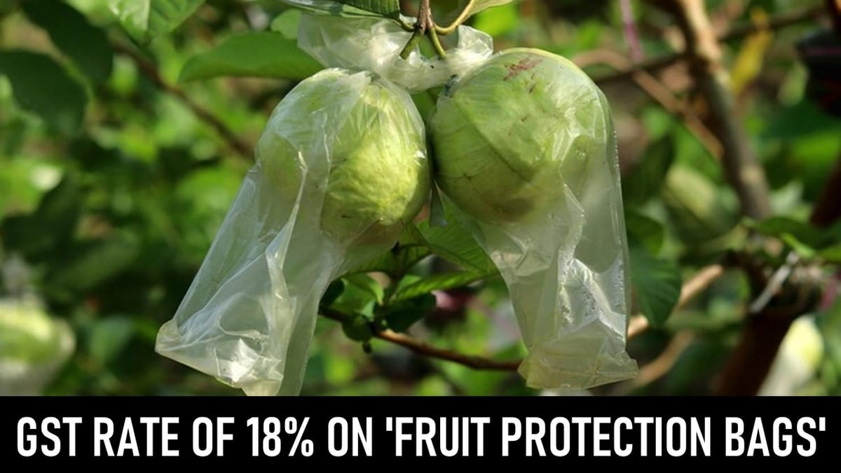 GST Rate of 18% on ‘Fruit Protection Bags’ Made From Kraft Paper: AAR