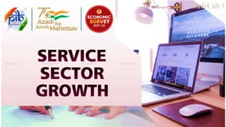 Services Contributed Over 50% to GDP