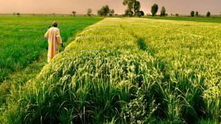 Sec 80P Deduction Allowed to Co-operative Societies if Activity has Direct Nexus to Agricultural Activities