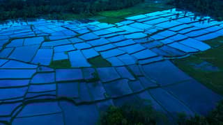 Coverage of Flood and Inundation insurance includes damage caused by heavy rains and not just overflowing of river: SC