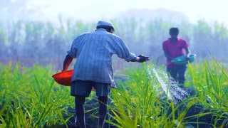 IRDAI Notifies Ease of Filing Insurance to Products for Agriculture and Allied Activities