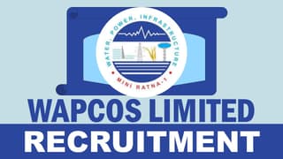 WAPCOS Recruitment 2024: New Notification Out, Check Post, Age Limit, Qualification, Salary, Tenure and How to Apply