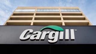 Graduates, Postgraduates Vacancy at Cargill