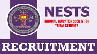 NESTS Recruitment 2024: Notification Out For Sr. Consultant (Data Manager) Post, Apply Fast