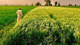 Karnataka Farmers Appeal for GST Exemption on Agricultural Equipment and Loan Relief