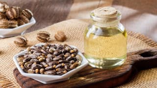 Gujarat AAR on Castor Oil: Classification and Implications on Refund under Inverted Duty Structure