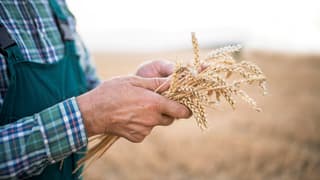 ITAT Revives Farmer’s Appeal Dismissed for Non-Compliance; 438-Day Delay Condoned, Case Sent Back for Fresh Assessment