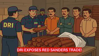 DRI Busts Rs 6.26 Crore Red Sanders Smuggling Racket, Four Arrested