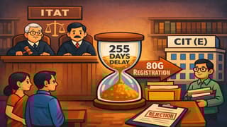 ITAT Condones 255-Day Delay, Sends 80G Registration Issue Back to CIT(E)