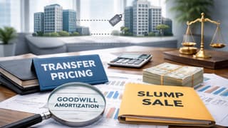Transfer Pricing Margin Must Exclude Goodwill Amortization From Slump Sale