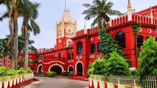 Orissa High Court directs Customs authorities to reassess iron ore exports on WMT basis
