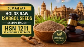 Gujarat AAR Grants GST Exemption on Raw Isabgol Seeds