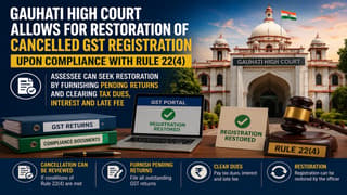 Gauhati High Court Allows For Restoration of Cancelled GST Number
