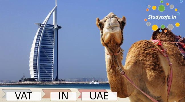 How Businesses operates in UAE