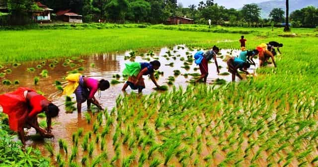 Modi-Nomics : Vision to Double Agricultural Exports; Agriculture Export Policy, 2018