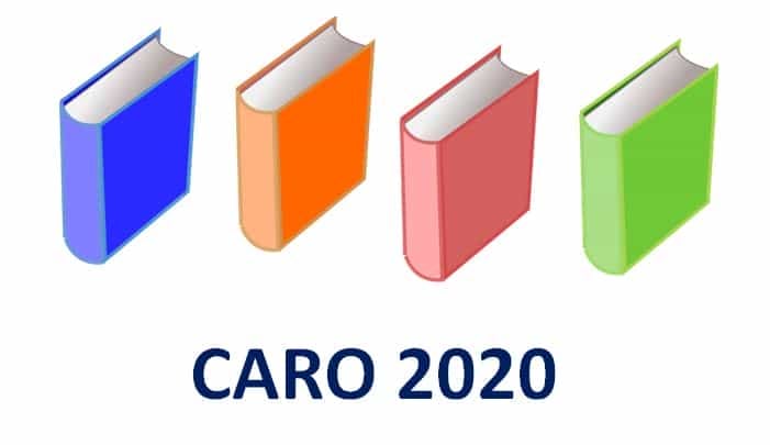 Analysis of newly added clauses of CARO 2020