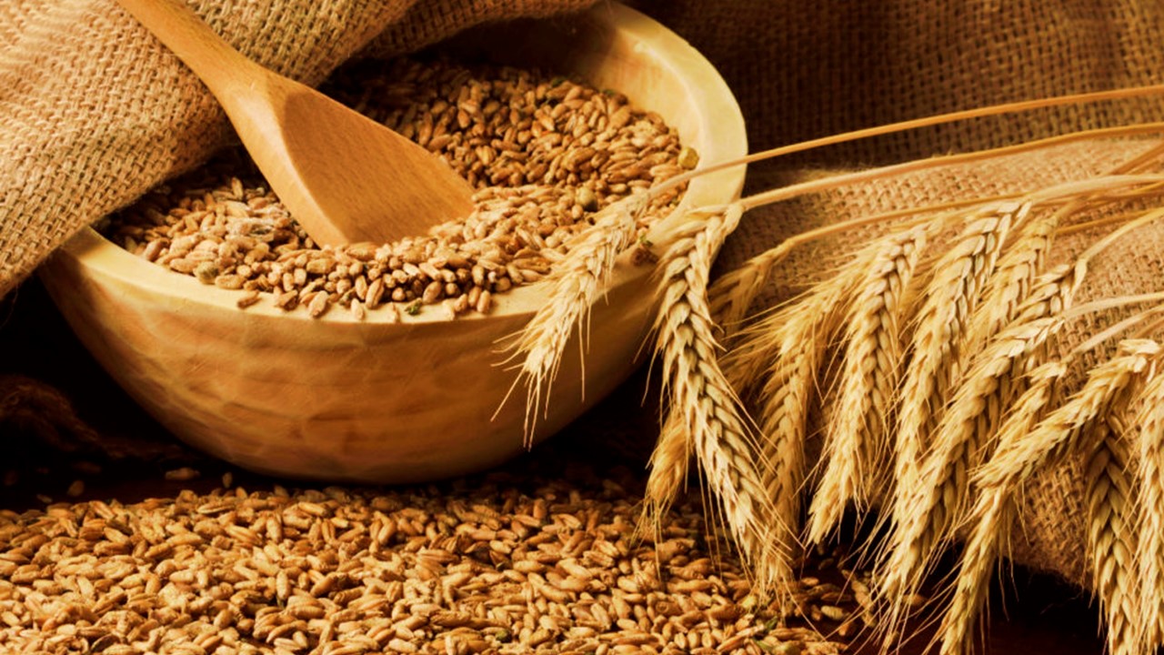 DGFT Amends Export Policy of Wheat