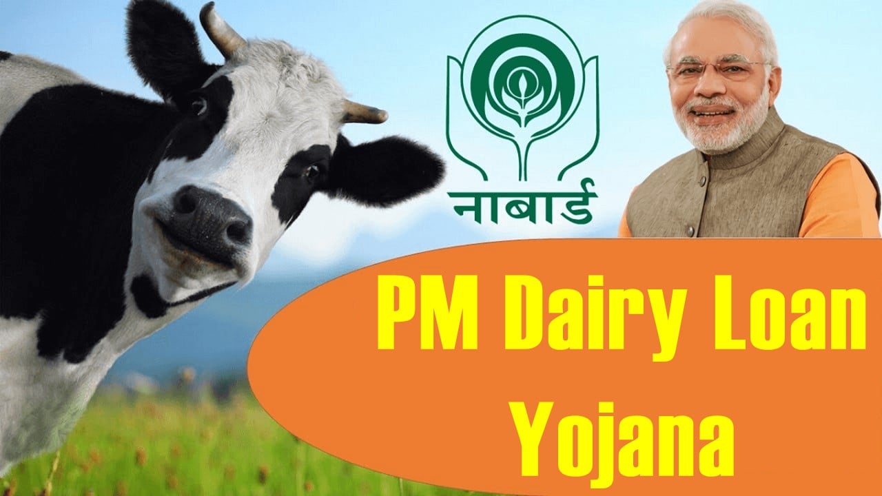 All About PM Dairy Loan Yojana