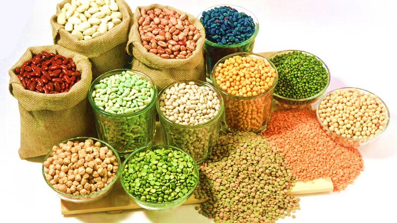 DGFT Notifies Implementation of MoUs between India and various Countries concerning Import of Tur/Urad pulses and Pigeon peas