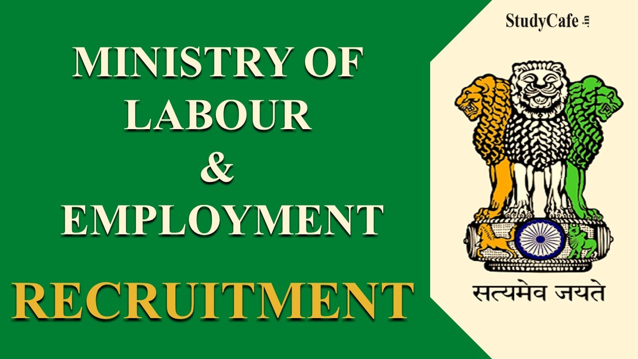 One Stop Solution For All Sarkari Naukri, Government Jobs Updates