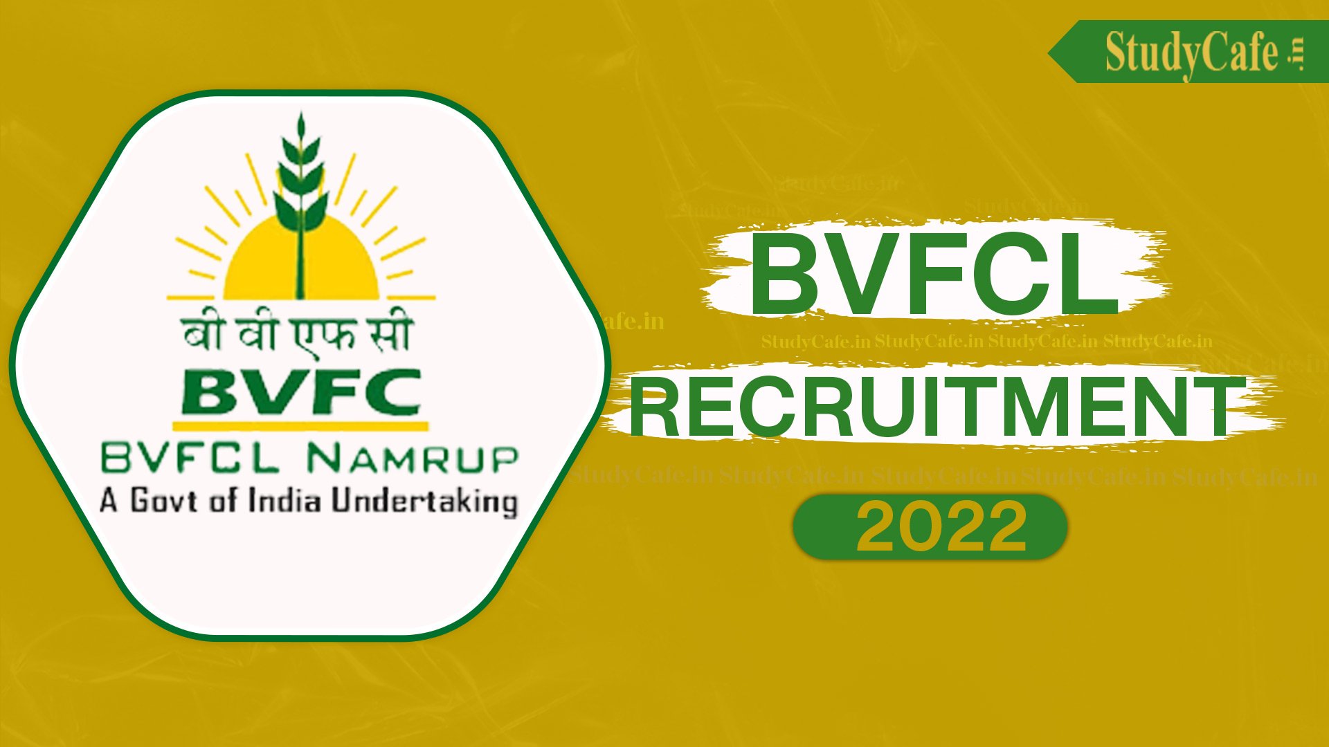 BVFCL Asstt. Medical Superintendent Recruitment 2022: Check Salary, Qualification, and How to Apply