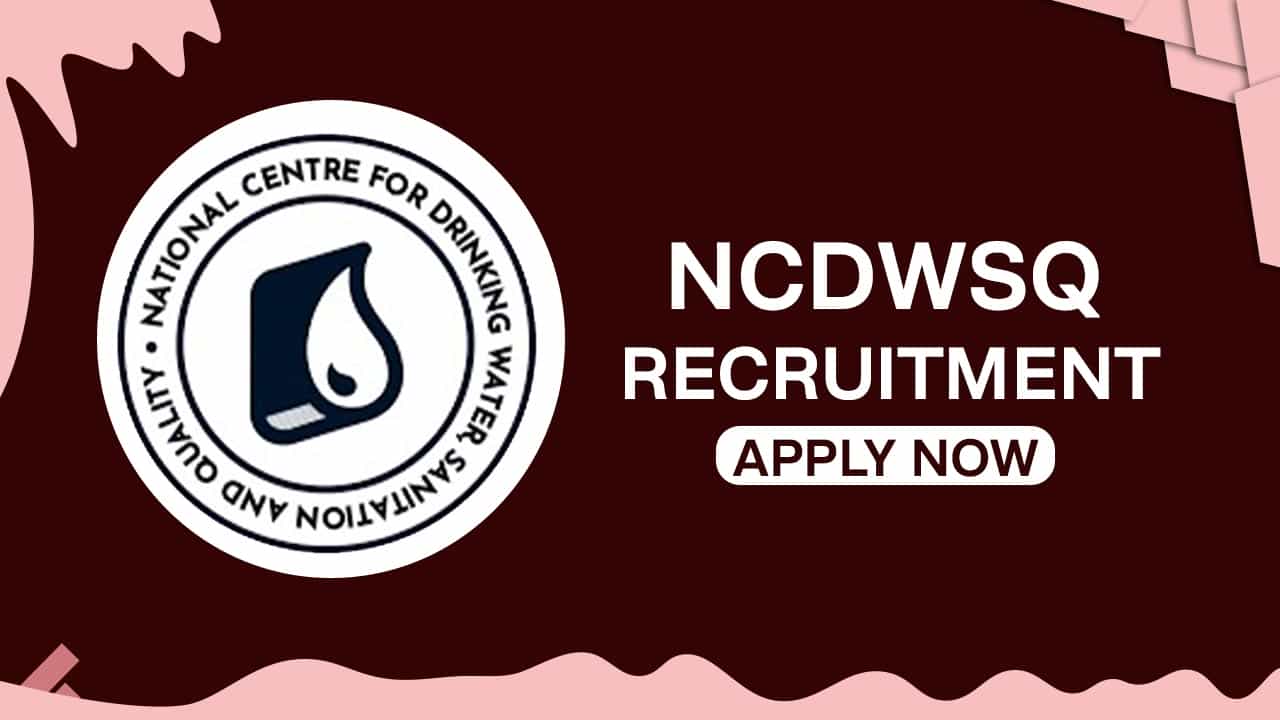 NCDWSQ Recruitment 2022: Check Posts, Qualification and Other Details