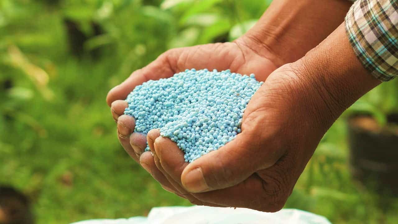 DGFT amends Import Policy Condition of Urea