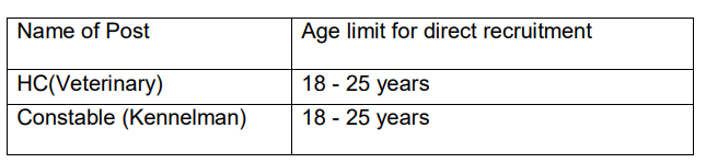 BSF Recruitment 2023