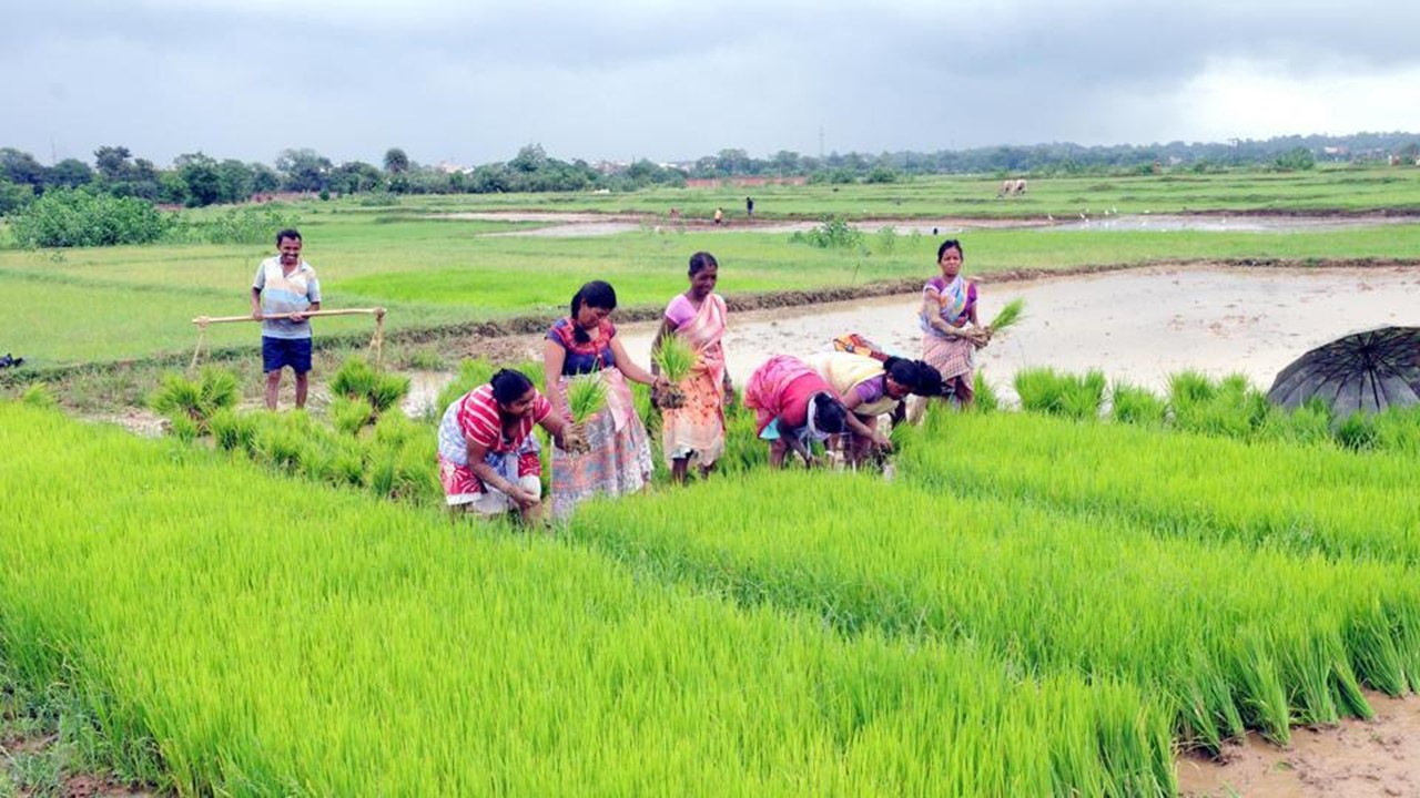 More than Rs. 2.24 lakh crore released to more than Rs. 11 crore farmers under PM-KISAN