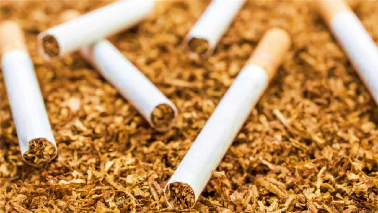 Tax Rate on Tobacco Hike: Committee lies Dormant, Unlikely to Submit Report Soon